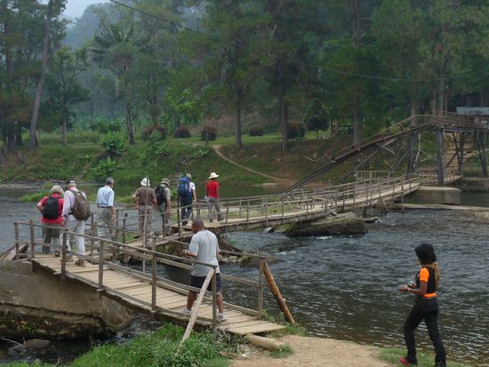 der Weg zum Thermalbad von Ranomafana - die Brücke wurde so von einem Zyklon verbogen und zerstört