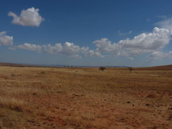 die weite Savannenlandschaft im flachen Süden