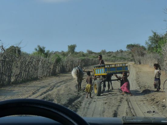 auf der Piste zu unserem letzten Stellplatz in Ifaty