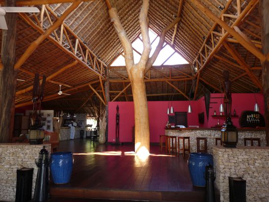 ein riesiger Baum stützt die Hotelhalle