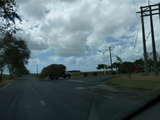der Trecker mit dem Zuckerrohr biegt zur Zuckerfabrik ab