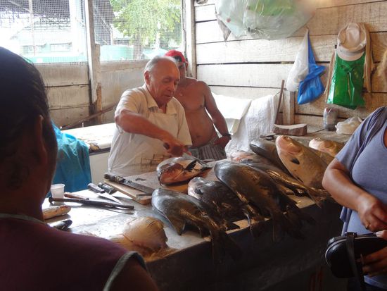 frischer Fisch aus dem Amazonas