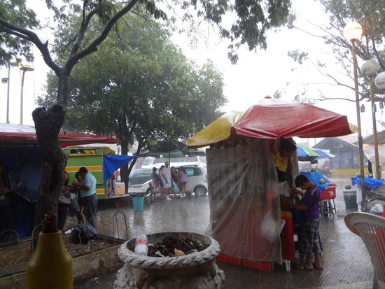 ein Sturzregen - alles rennet, rettet, flüchtet - Regen in den Tropen