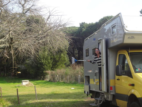 die Hexe schwingt den Besen