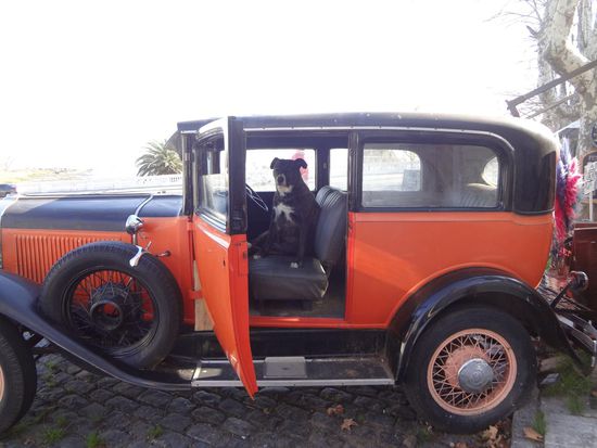 ob der wohl einen Führerschein hat ?