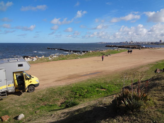 alle Katzen sind gefüttert