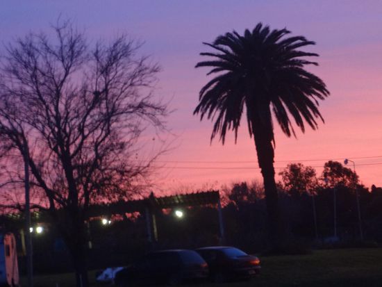 so werden wir am Morgen geweckt.