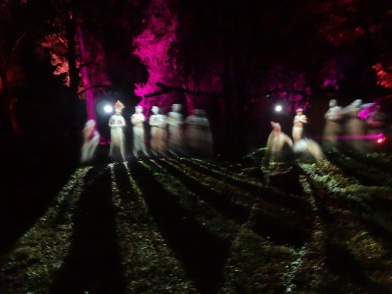 die Geschichte der Reduction