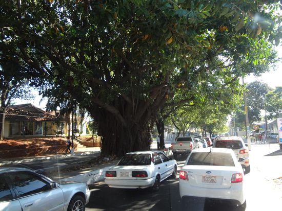 Einfahrt nah Asunición