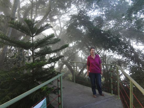 der Rücweg durch den Urwald, leider haben wir keine Tiere gesehen