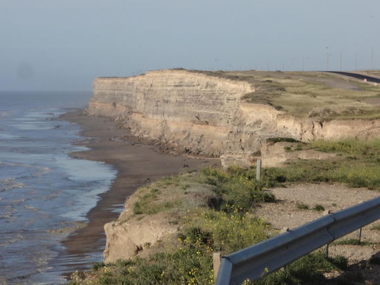 die Steilküste der Papgeien Kolonie