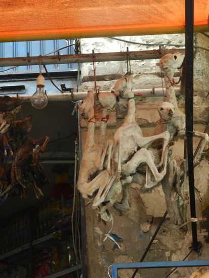 Es wird allerlei Hokuspokus verkauft, Lamaembryos, die bei allen möglich Krankheiten helfen sollen, buntes Gemisch von Heilsteinen usw.