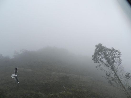 Nebel steigt aus den Bergen