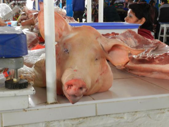 bitte recht freundlich