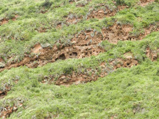 hier wurden einst die Mumien beigesetzt