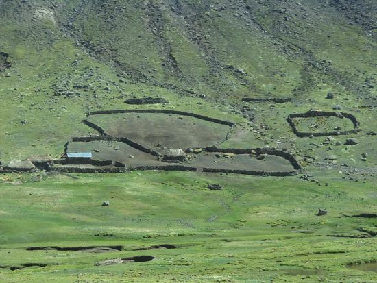 hier leben die Menschen mit ihren Tieren. Nachts sind die Herden in den großen Pferchen.