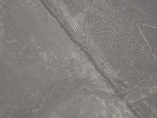 wenn man genau hinsieht, kann man die Spinne (re) erkennen