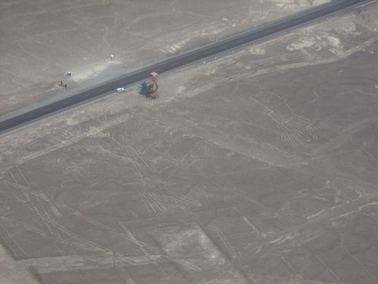 der Maria Reiche Turm, der Baum und die Hände