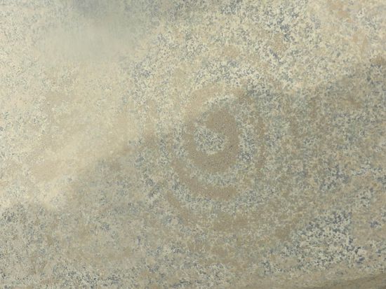 Die Peru-Schnecke, auf vielen T-Shirts zu bewundern.