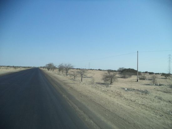 es geht durch die Sechuara Wüste