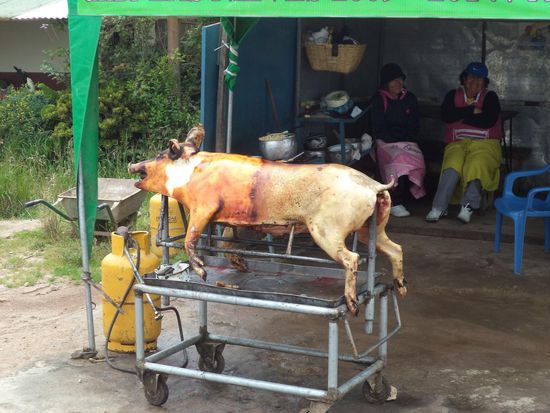 das Speisenangebot unterwegs direkt von der Sau
