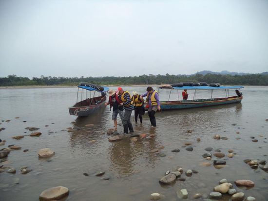 Wer keine Gummistiefel angezogen hatte, mußte barfuß ans Ufer laufen. Dann ging es in den Urwald. Wir sahen Kakaopflanzen und fremdartige Blüten.