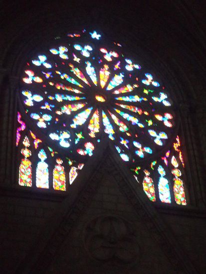 und ihre Fensterrose