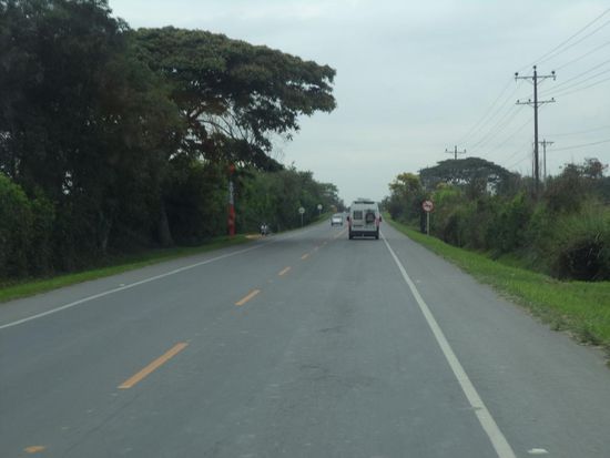 Die Straße mit den Schirmakazien, kurz bevor wir angehalten wurden