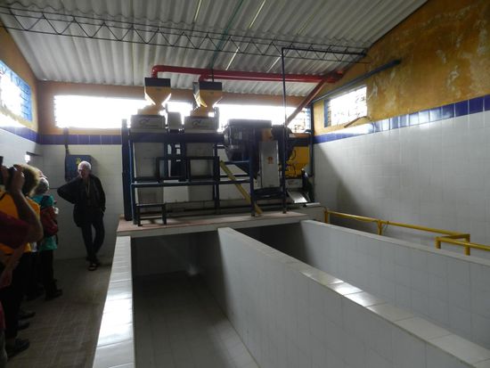 hier werden die Kaffeebohnen gewaschen und sortiert