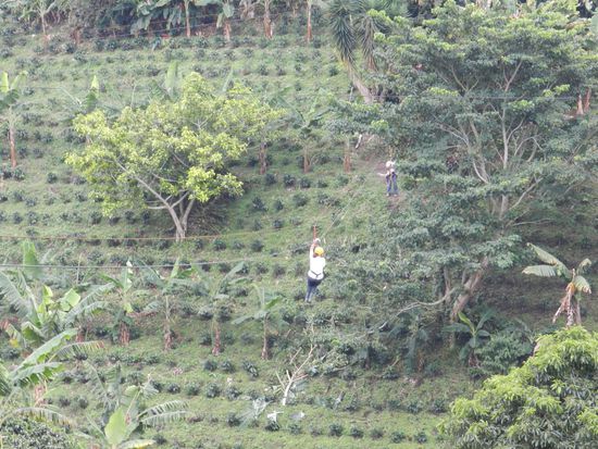 weit und hoch gehts durch die Kaffeeplantage - Es hat ziemlich viel Spaß gemacht und wir haben eine Stunde gebraucht, bis wir die Runde gemacht hatten.