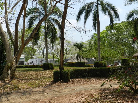 so stehen wir bei den Kaimanen