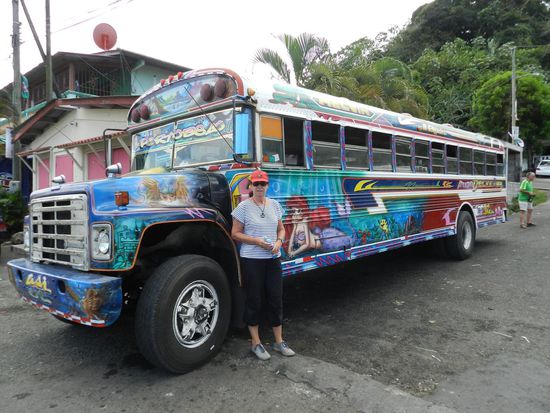 einer der bunten Linienbusse