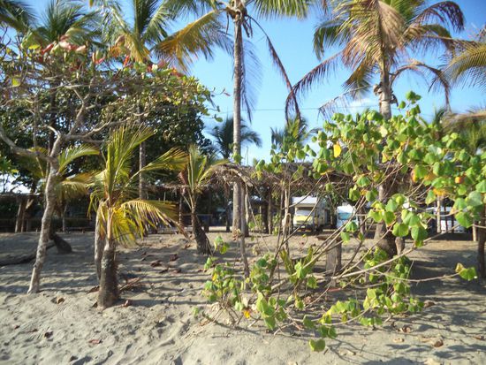 Wer genau hinsieht kann unser Auto in dem Grünzeug entdecken.