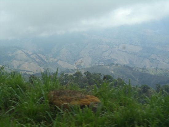 Wir fahren jetzt wieder bergauf und erreichen den höchsten Punkt der Panamericana von 3.360 m. Es ist alles ist grün und es blüht und hier oben ist eine herrliche Luft und Temperatur.