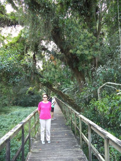 über diese Holzbrücken gehen wir