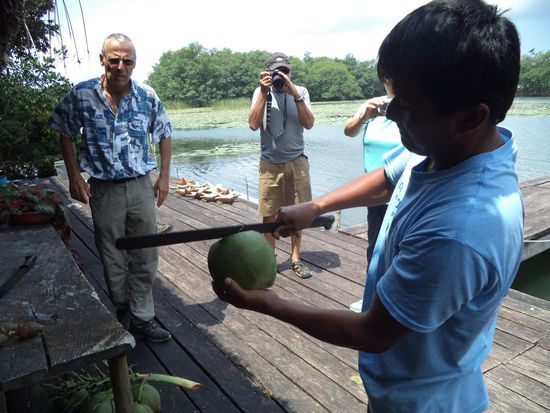 hier wird die Kokosnuss geköpft
