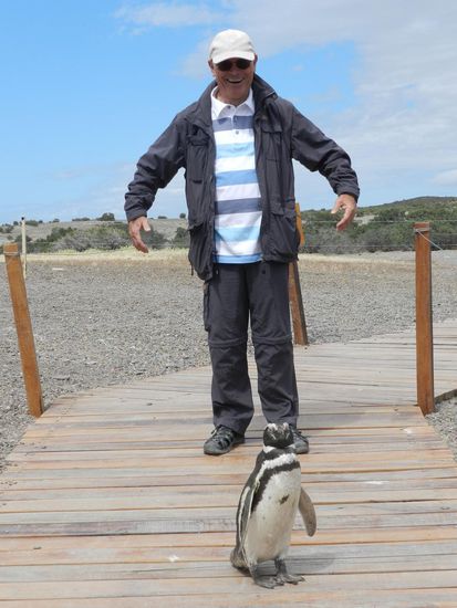 Gibt es so große Pinguine?