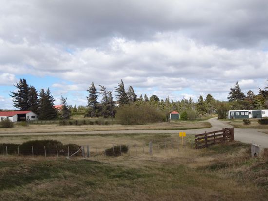 die Bäume stehen schräg im Wind