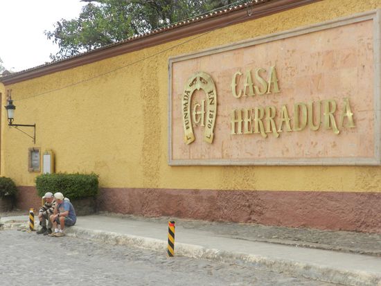 Die Beiden harren der Dinge, die da kommen