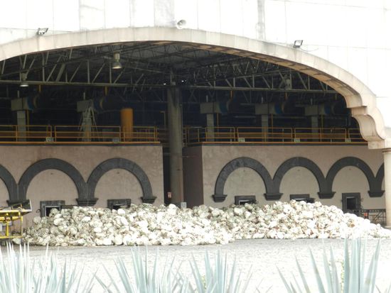 Die Herzen werden in die Öfen geladen und durch die Dampfhitze trennen sich eine Art Honig und der süße Saft der Agave. Man erklärt und genau den Prozeß des Brennens und Destillierens.