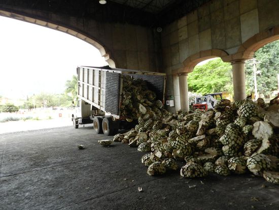 Lastwagen bringen Nachschub