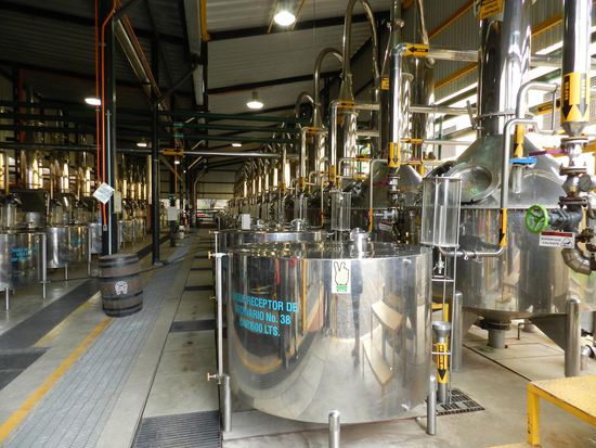 In einem anderen Gebäude wird dann der gewonnene Saft weiterverarbeitet.