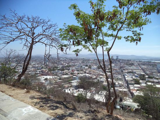 Blick bis zur Kathedrale