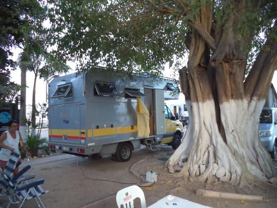 In Los Mochis finden wir den Stellplatz schnell und suchen im Schatten unter einem großen Baum unseren Platz für die Nacht.