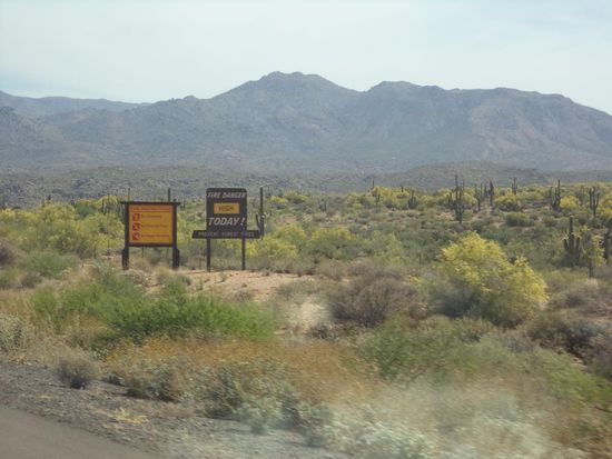 blühende Landschaft