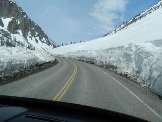 Je weiter wir in den  Park kommen, umso mehr Schnee liegt.