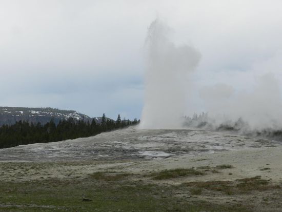pünktlich spuckt der Geysir
