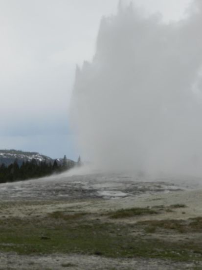 die Fontäne steigt ziemlich hoch