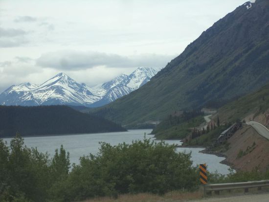 Dann geht die Fahrt weiter, immer am Yukon entlang, dann überqueren wir ihn wieder. Der Yukon ist immer zu sehen.