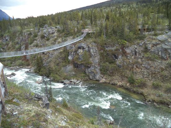 An einer Hängebrücke über den Yukon schauen wir mal zu wie die Leute darüber eiern.
